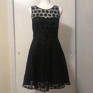 Black A-Line Dress with Sheer Polkadot Overlay